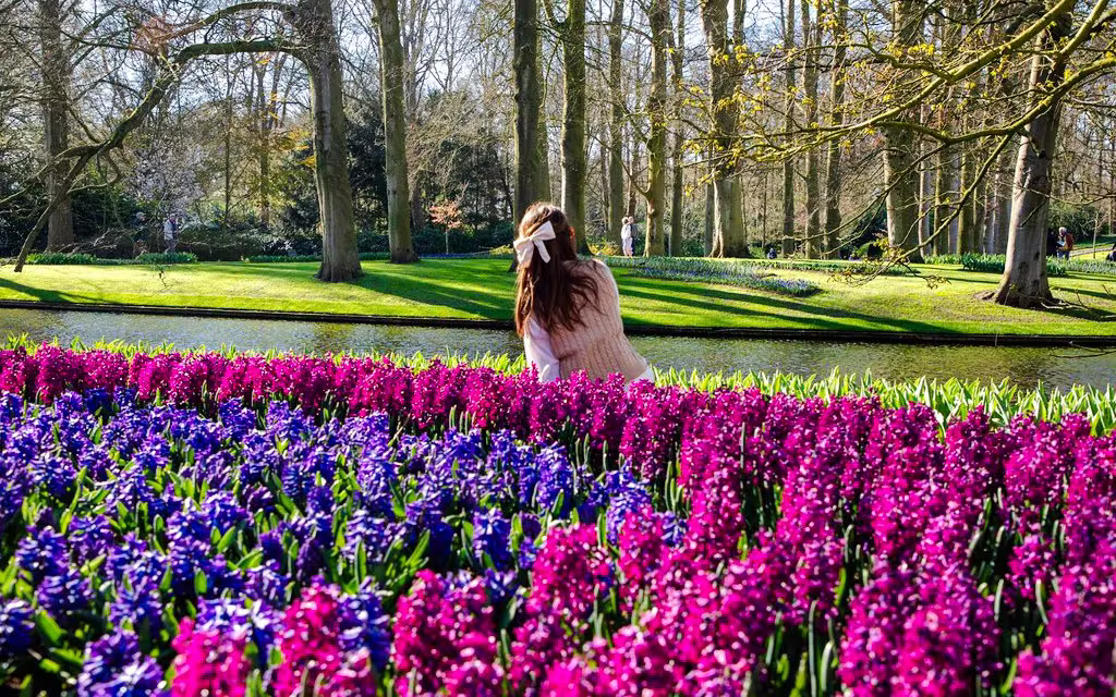 Keukenhof Toegang met Transfers vanuit Amsterdam