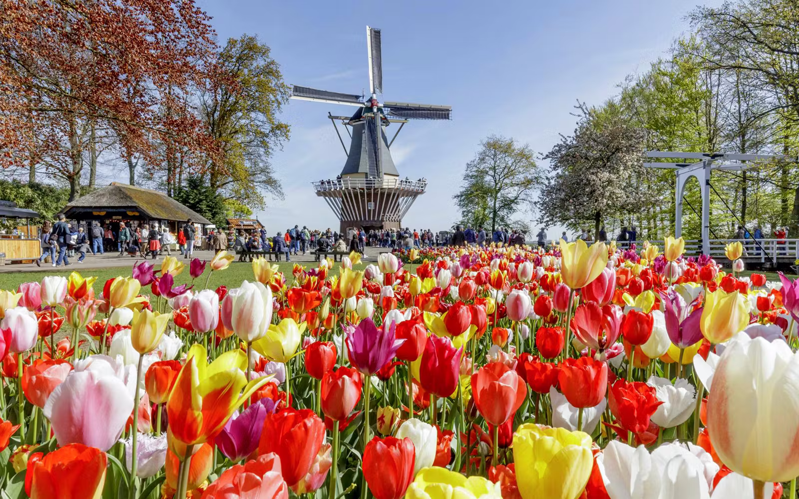 Keukenhof Rondleiding met Transfers vanuit Amsterdam