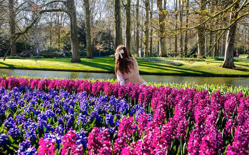 Entrée Keukenhof avec transferts depuis Amsterdam
